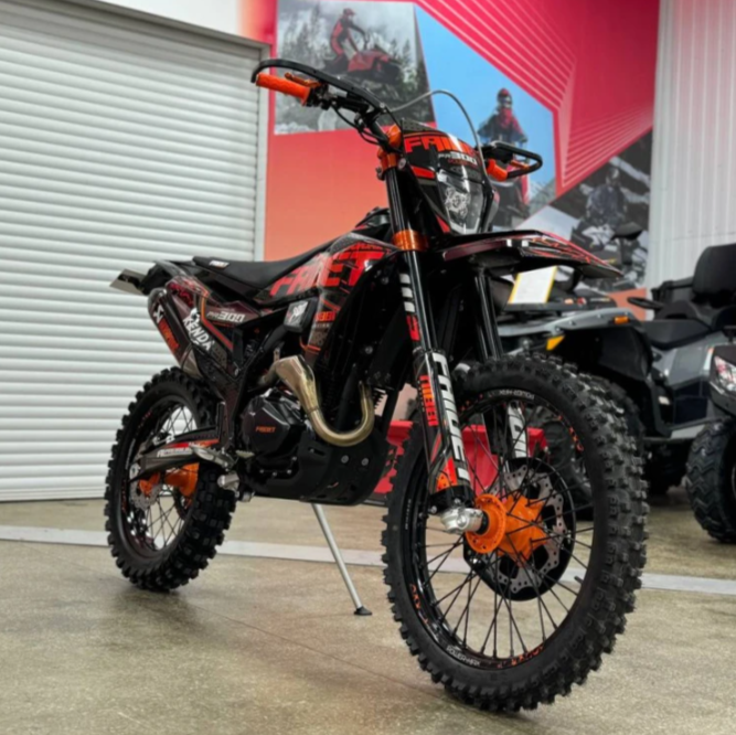 Кроссовый мотоцикл FAIDET PR300 MAX WP в Челябинске