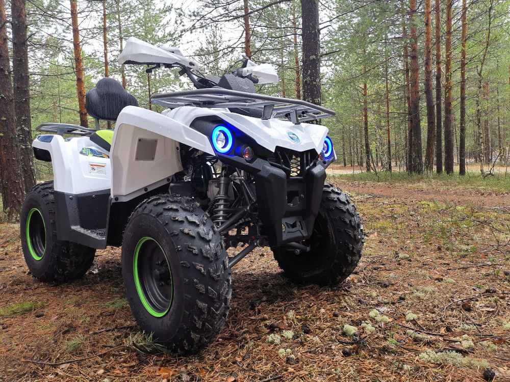 Квадроцикл PROMAX RENEGADE 280 (2025) в Челябинске