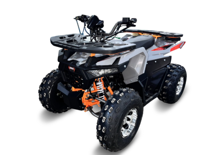 Квадроцикл GBM DAXTER 220 NEW PREMIUM в Челябинске