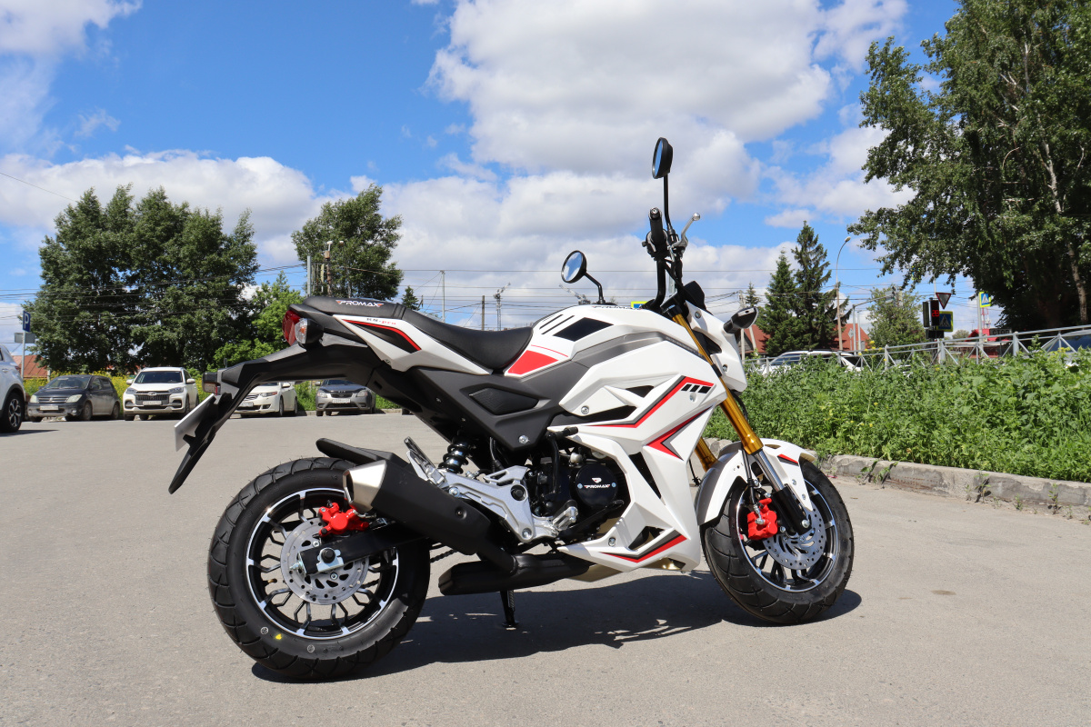 Мотоцикл PROMAX STRYKER 200(49) 2.0 в Челябинске