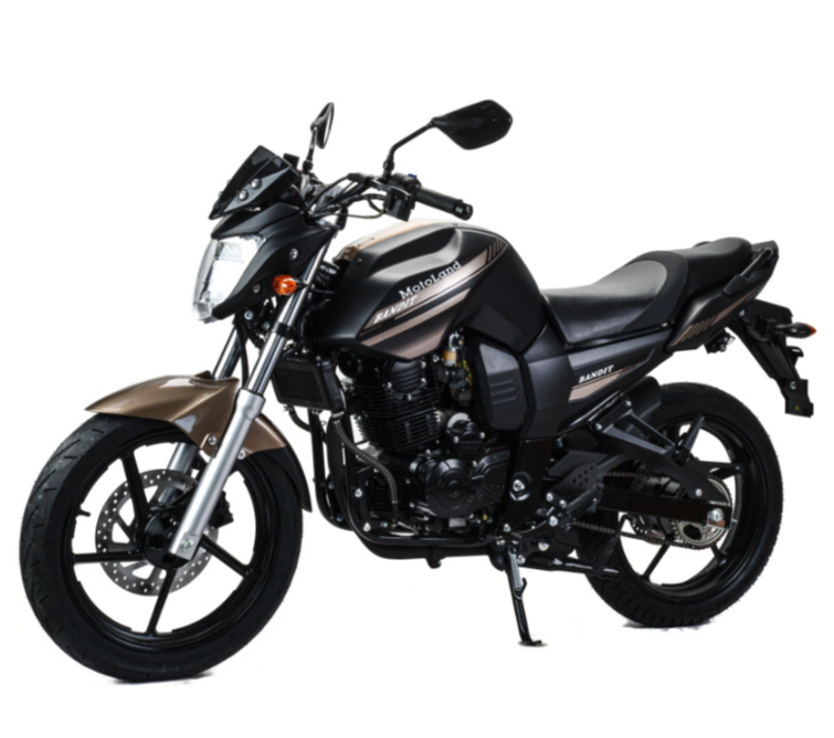 Мотоцикл MOTOLAND (МОТОЛЕНД) 300 BANDIT в Челябинске