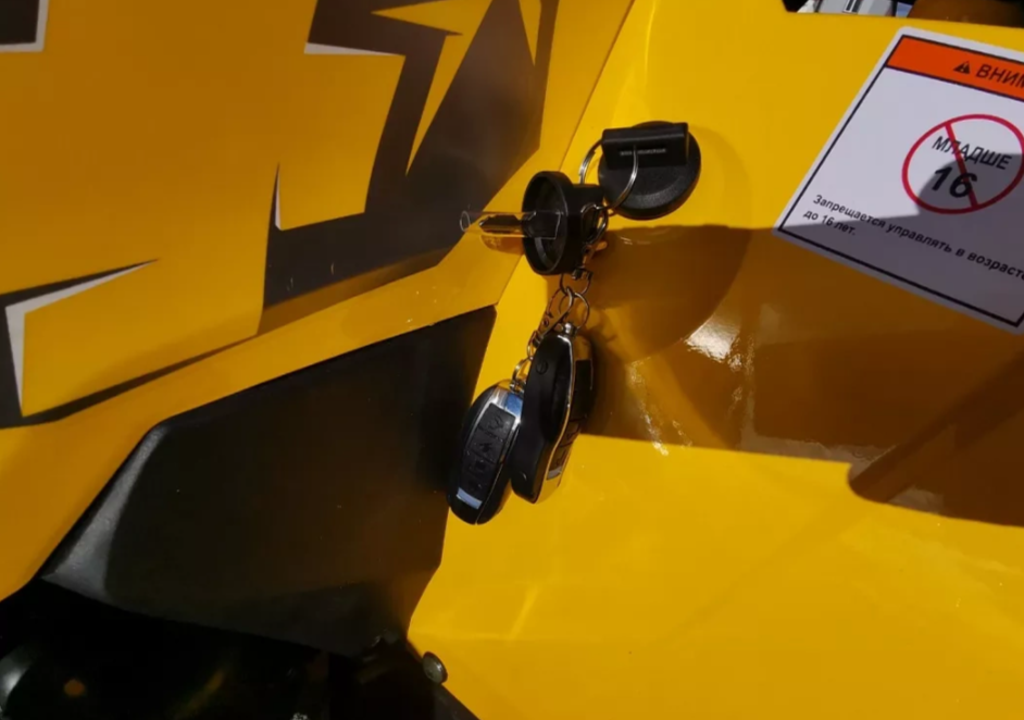 Квадроцикл MOTOLAND (МОТОЛЕНД) VOX200 WILD TRACK X PRO (баланс. вал) в Челябинске