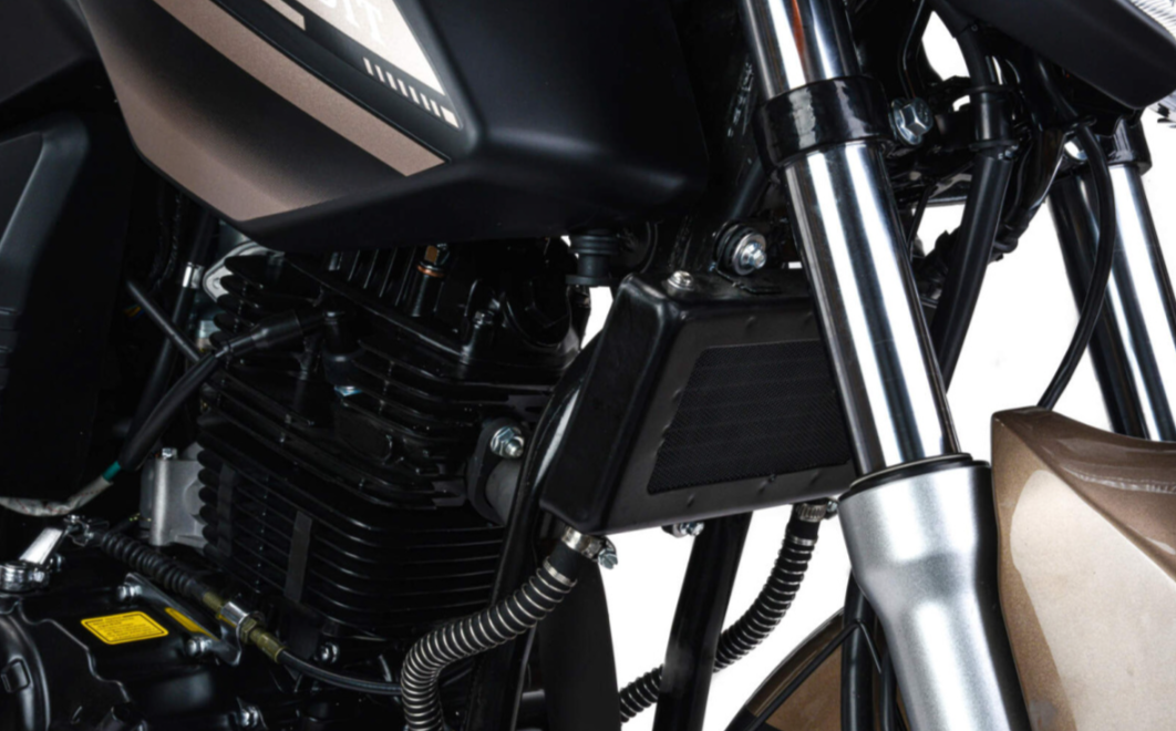 Мотоцикл MOTOLAND (МОТОЛЕНД) 300 BANDIT в Челябинске