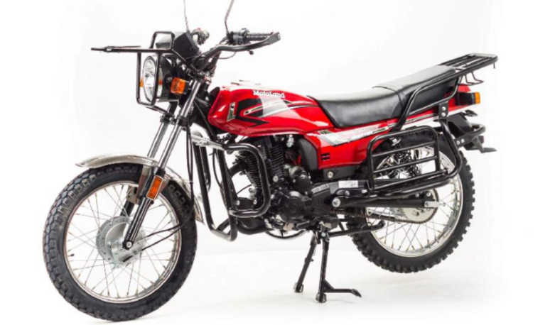 Мотоцикл MOTOLAND (МОТОЛЕНД) FORESTER LITE 200 в Челябинске