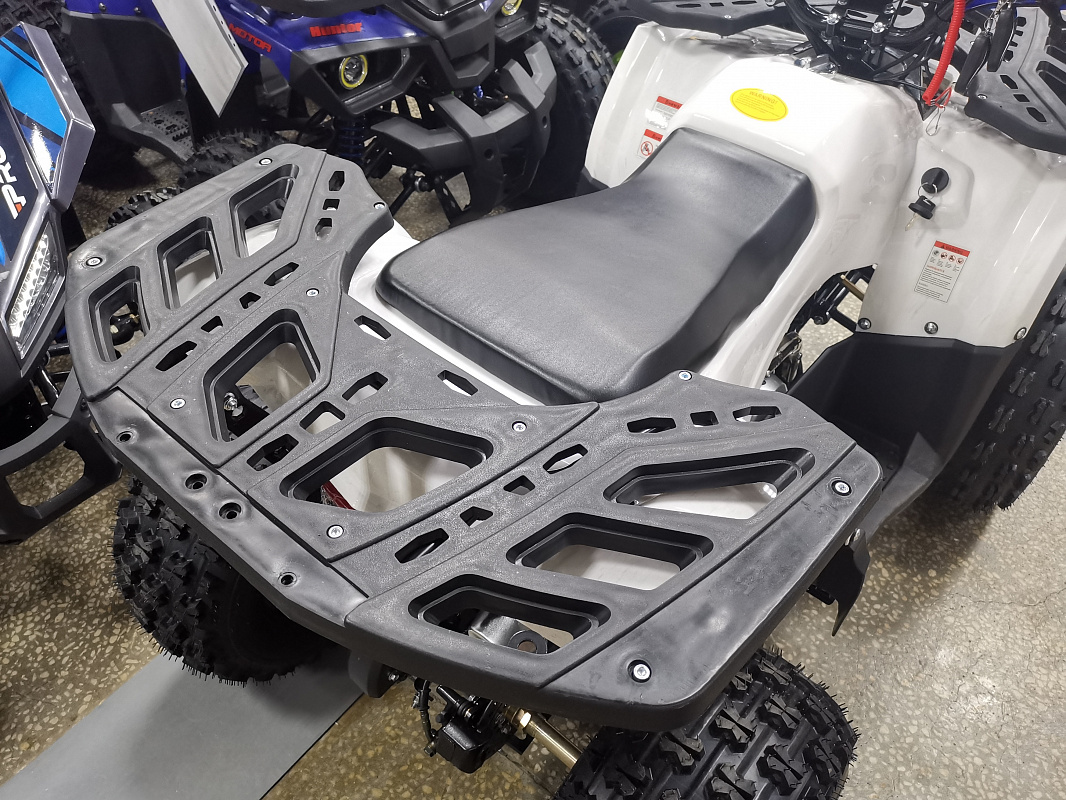 Квадроцикл PROMAX WILD 175 LUX в Челябинске