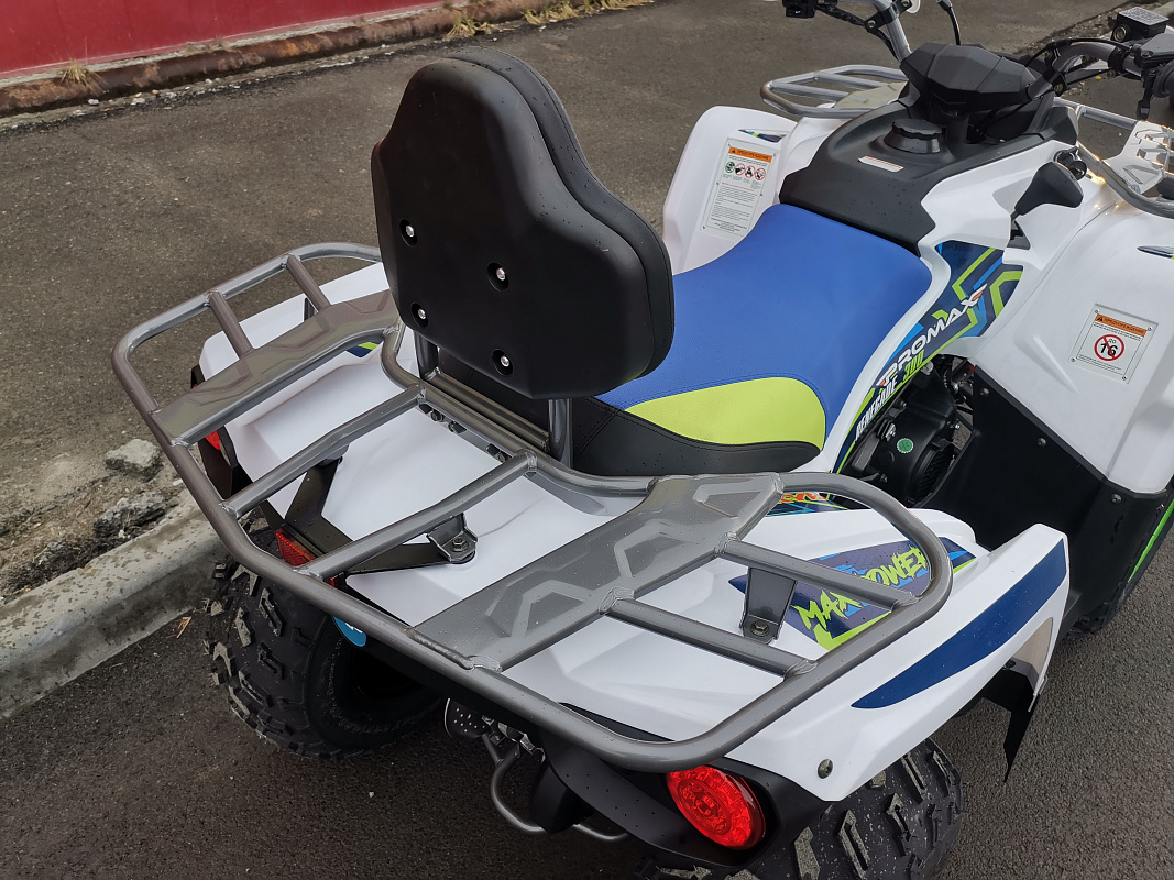 Квадроцикл PROMAX RENEGADE 280 LUX (2025) в Челябинске