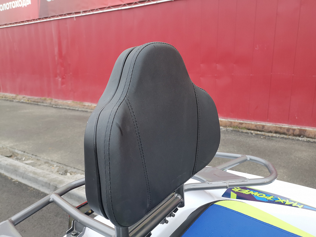 Квадроцикл PROMAX RENEGADE 280 LUX (2025) в Челябинске