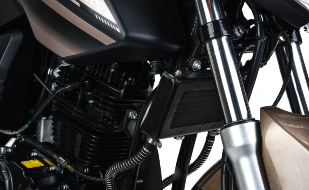 Мотоцикл MOTOLAND (МОТОЛЕНД) 300 BANDIT в Челябинске