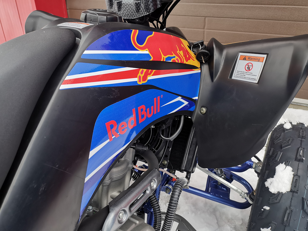 Квадроцикл PROMAX RAPTOR 300 NEW RedBull в Челябинске