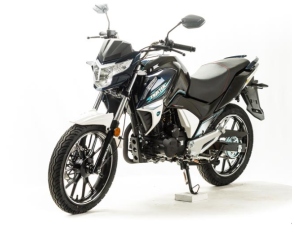 Мотоцикл MOTOLAND (МОТОЛЕНД) FIGHTER 250 в Челябинске