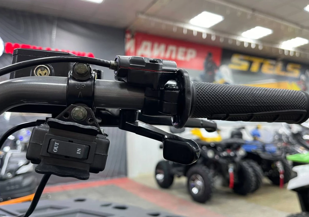 Квадроцикл PROMAX RENEGADE 300 LONG WINCH PRO (2025) в Челябинске