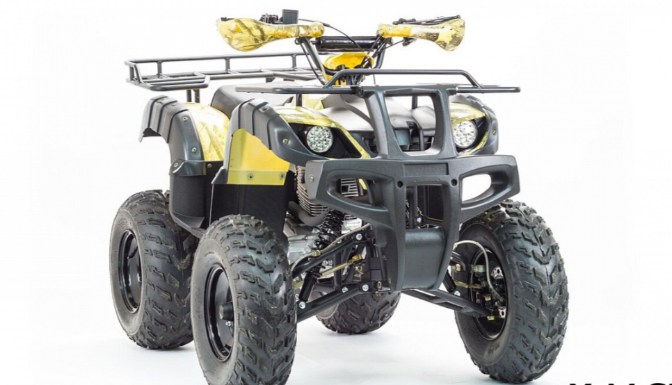 Квадроцикл MOTOLAND (МОТОЛЕНД) 250 ADVENTURE в Челябинске