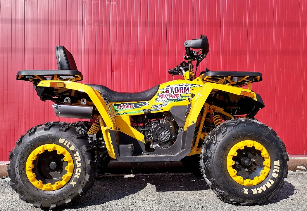 Квадроцикл PROMAX STORM 280 LUX в Челябинске
