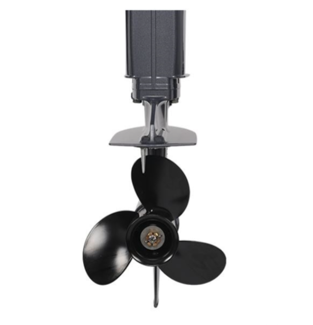 Лодочный мотор ALLFA CG Т40FW S в Челябинске