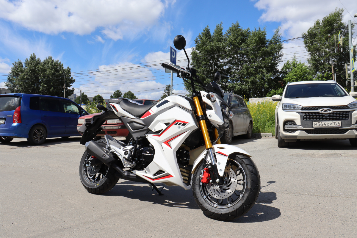 Мотоцикл PROMAX STRYKER 200(49) 2.0 в Челябинске