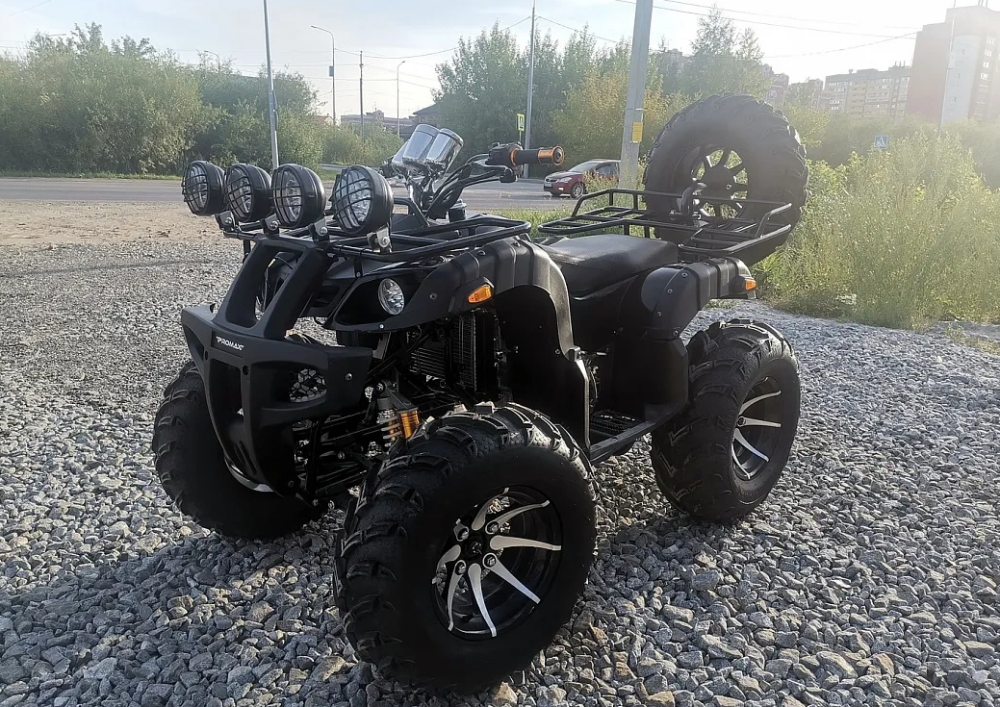 Квадроцикл PROMAX LEO 300 Max (кардан) в Челябинске