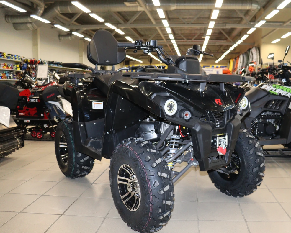 Квадроцикл PROMAX RENEGADE 300 LONG WINCH PRO (2025) в Челябинске
