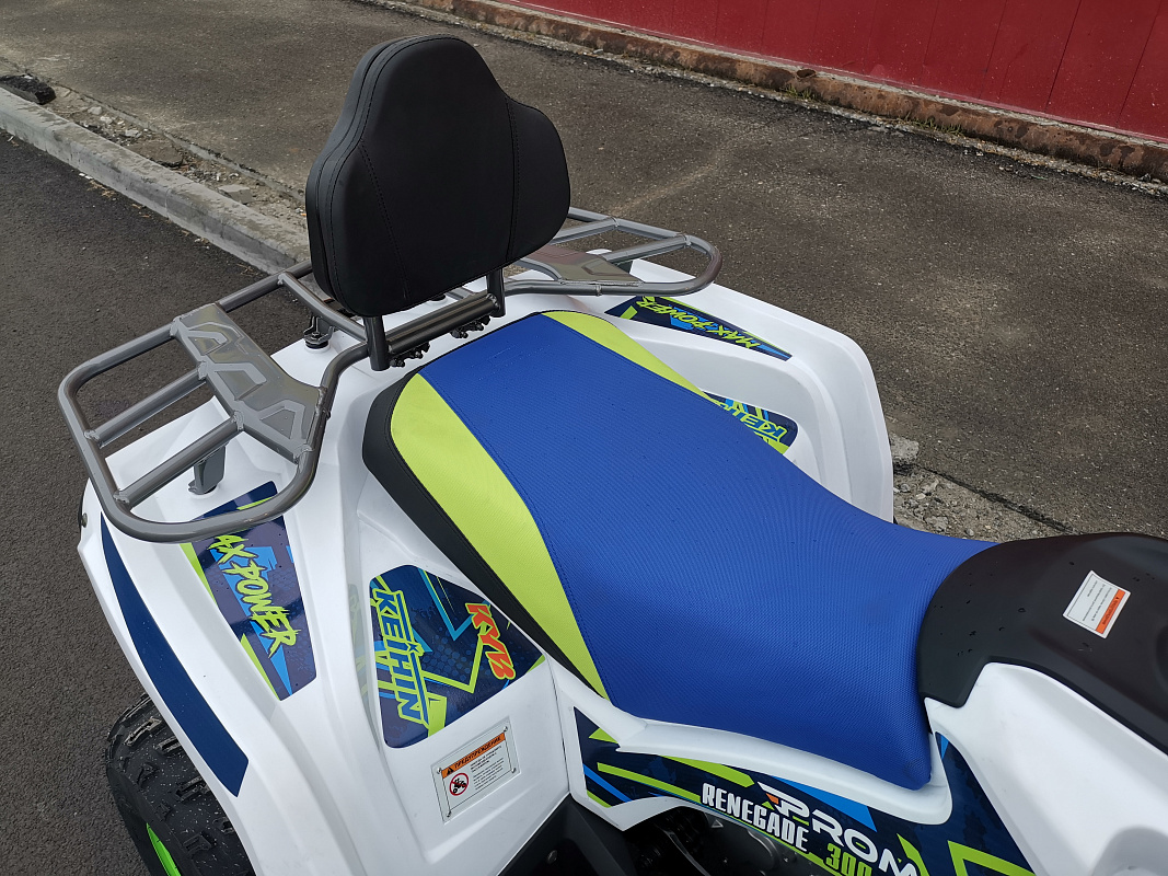 Квадроцикл PROMAX RENEGADE 280 LUX (2025) в Челябинске