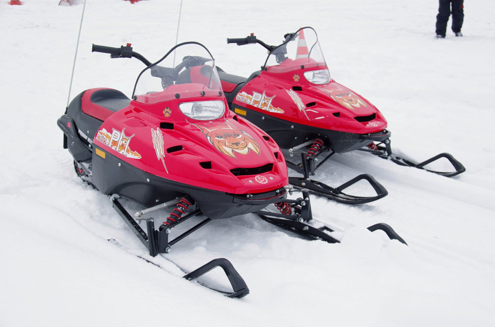 Снегоход РМ ТАЙГА РЫСЬ в Челябинске