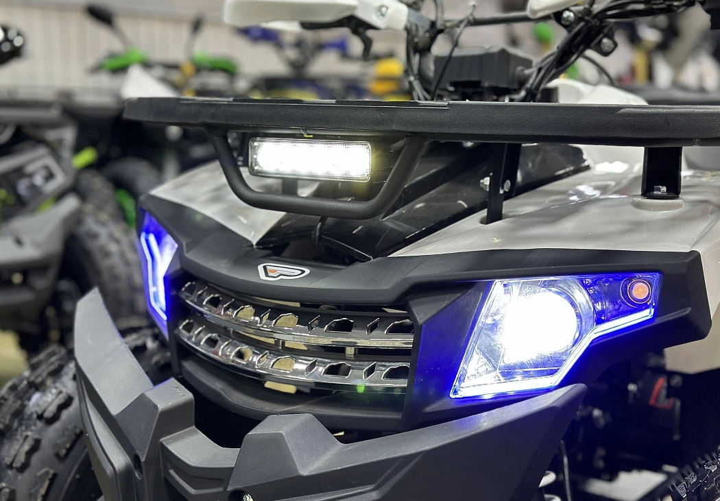 Квадроцикл PROMAX WILD 2.0 190 в Челябинске