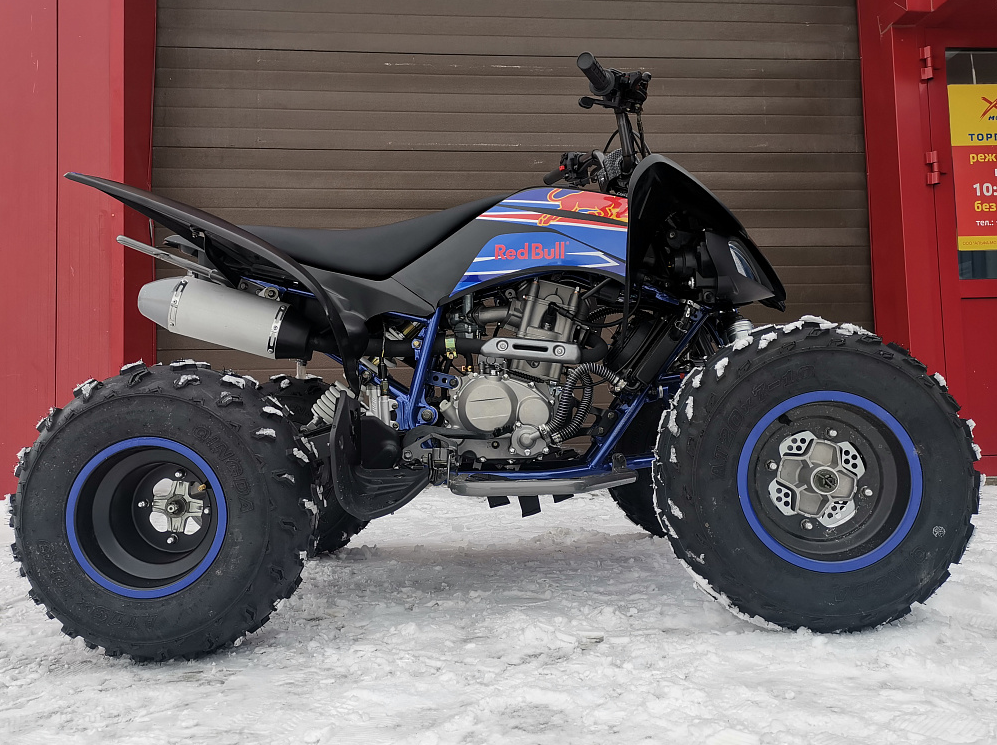 Квадроцикл PROMAX RAPTOR 300 NEW RedBull в Челябинске