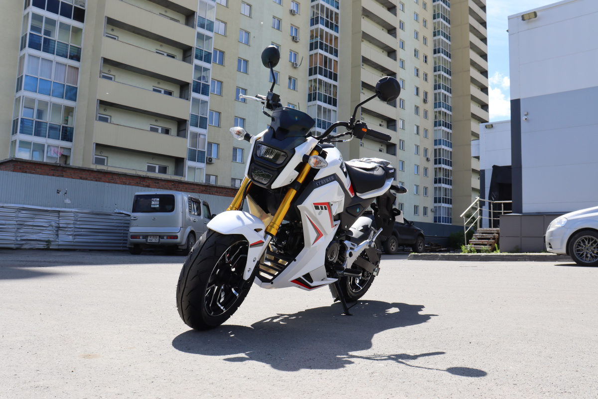 Мотоцикл PROMAX STRYKER 200(49) 2.0 в Челябинске