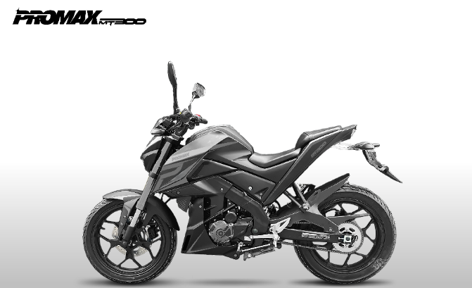 Мотоцикл PROMAX MT300 в Челябинске