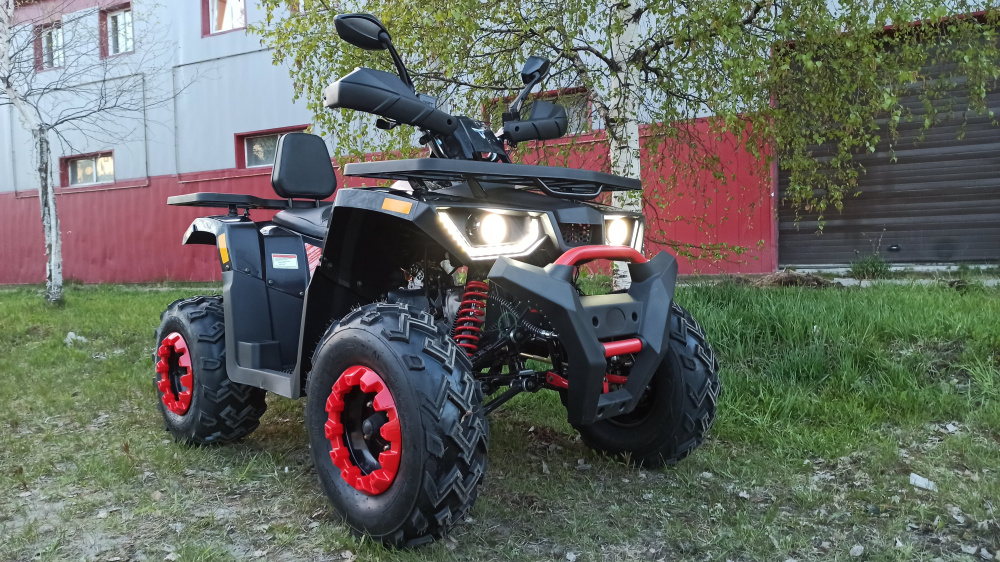 Квадроцикл PROMAX WILD 300 LUX (2024) в Челябинске