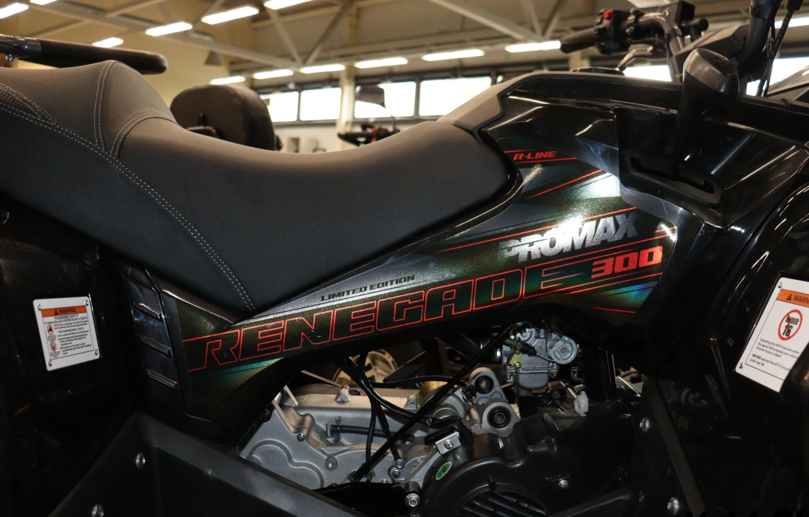 Квадроцикл PROMAX RENEGADE 300 LONG WINCH PRO (2025) в Челябинске