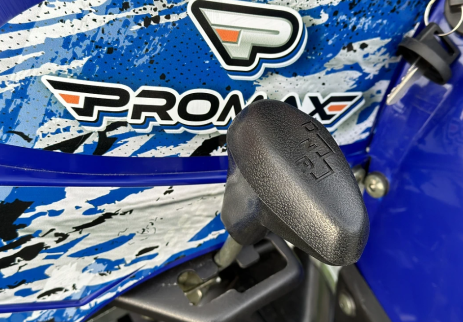  Квадроцикл PROMAX ATV 250 MAX (2025) в Челябинске
