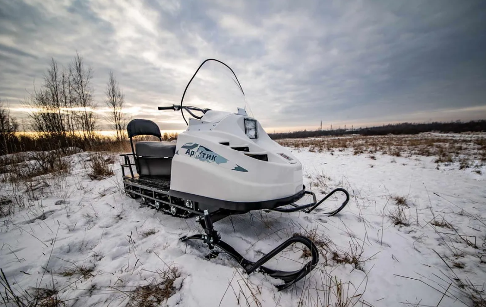 Снегоход БТС АРТИК 4Т /ЛОНГ/ 20 л.с. э/зап, реверс, тормоз в Челябинске