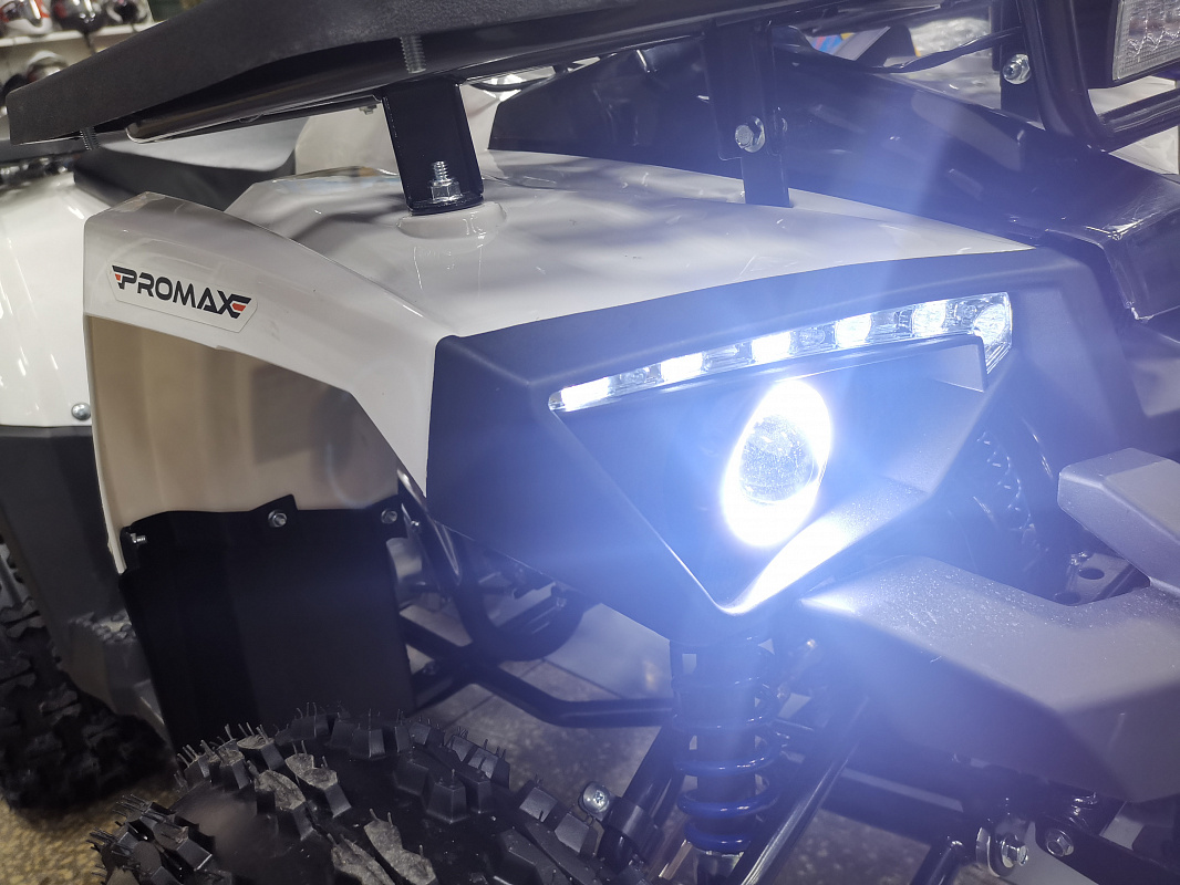 Квадроцикл PROMAX WILD 175 LUX в Челябинске