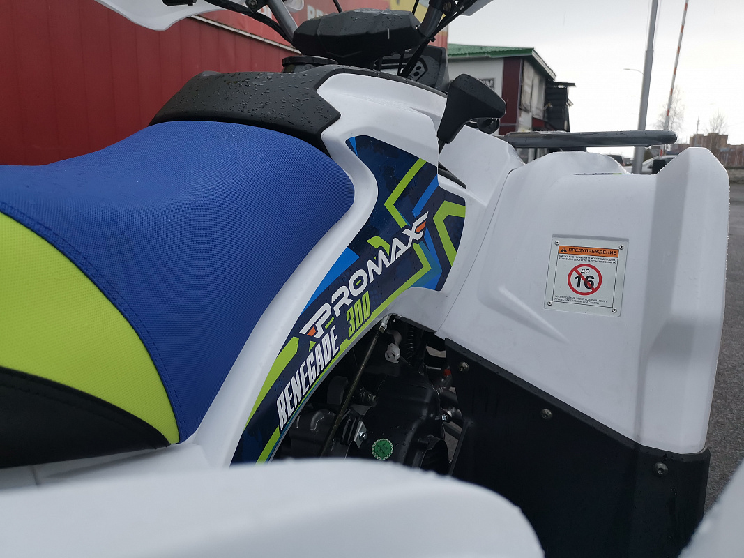 Квадроцикл PROMAX RENEGADE 280 LUX (2025) в Челябинске