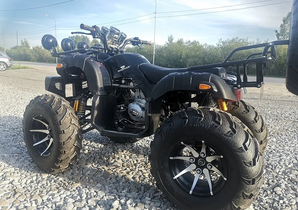 Квадроцикл PROMAX LEO 300 Max (кардан) в Челябинске
