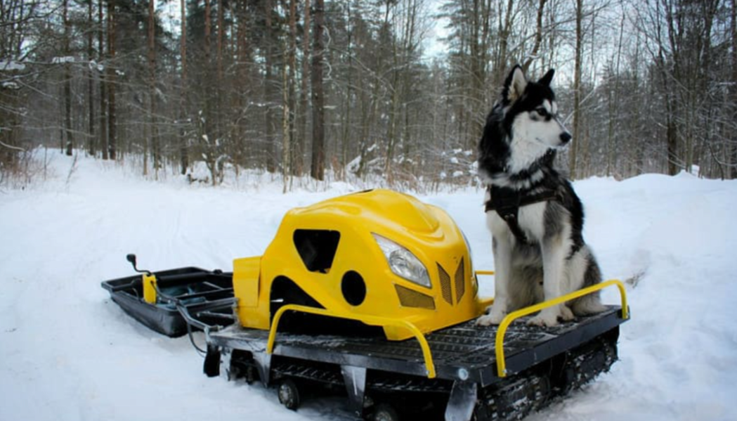 Мотобуксировщик LEBEDEV MOTORS ВОЛКОДАВ POWER V13 в Челябинске