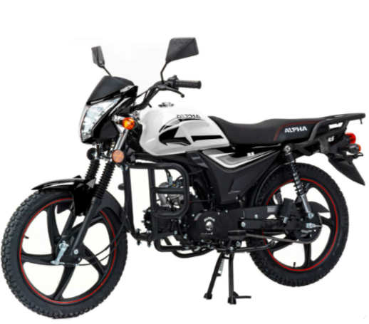 Мопед MOTOLAND (МОТОЛЕНД) Альфа RS 11 (LM48-B) в Челябинске