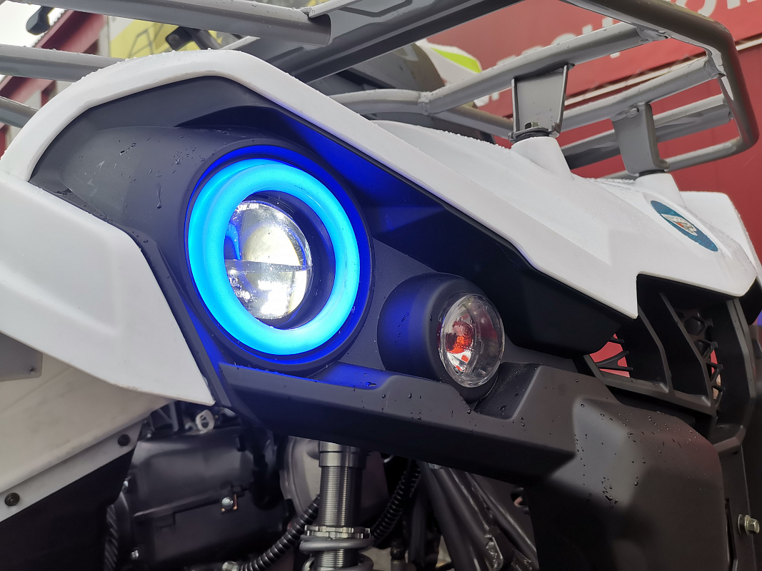 Квадроцикл PROMAX RENEGADE 280 LUX (2025) в Челябинске