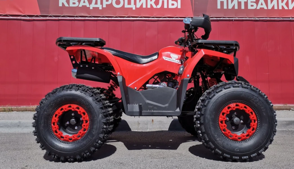 Квадроцикл PROMAX WILD 175 BASIC в Челябинске