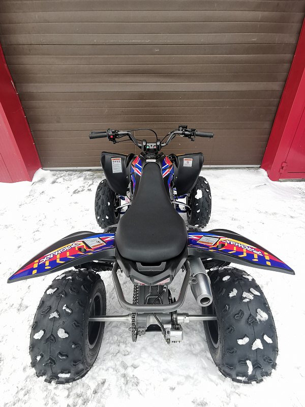 Квадроцикл PROMAX RAPTOR 300 NEW RedBull в Челябинске