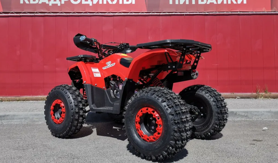 Квадроцикл PROMAX WILD 175 BASIC в Челябинске