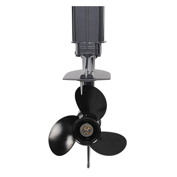 ЛОДОЧНЫЙ МОТОР ALLFA CG T30 FW S в Челябинске