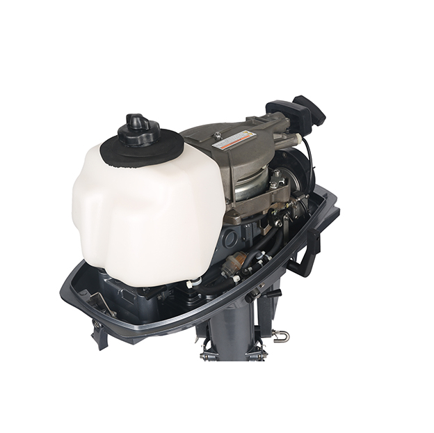 ЛОДОЧНЫЙ МОТОР ALLFA CG T5 в Челябинске