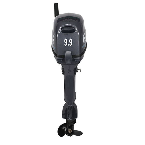 Лодочный мотор ALLFA CG Т9.9(20)MAX в Челябинске