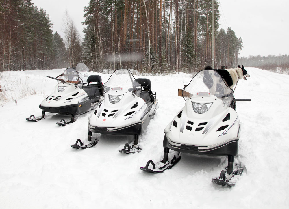 СНЕГОХОД РМ ТАЙГА ВАРЯГ 550 V в Челябинске