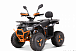 Квадроцикл YACOTA SIRIUS 2000W в Челябинске