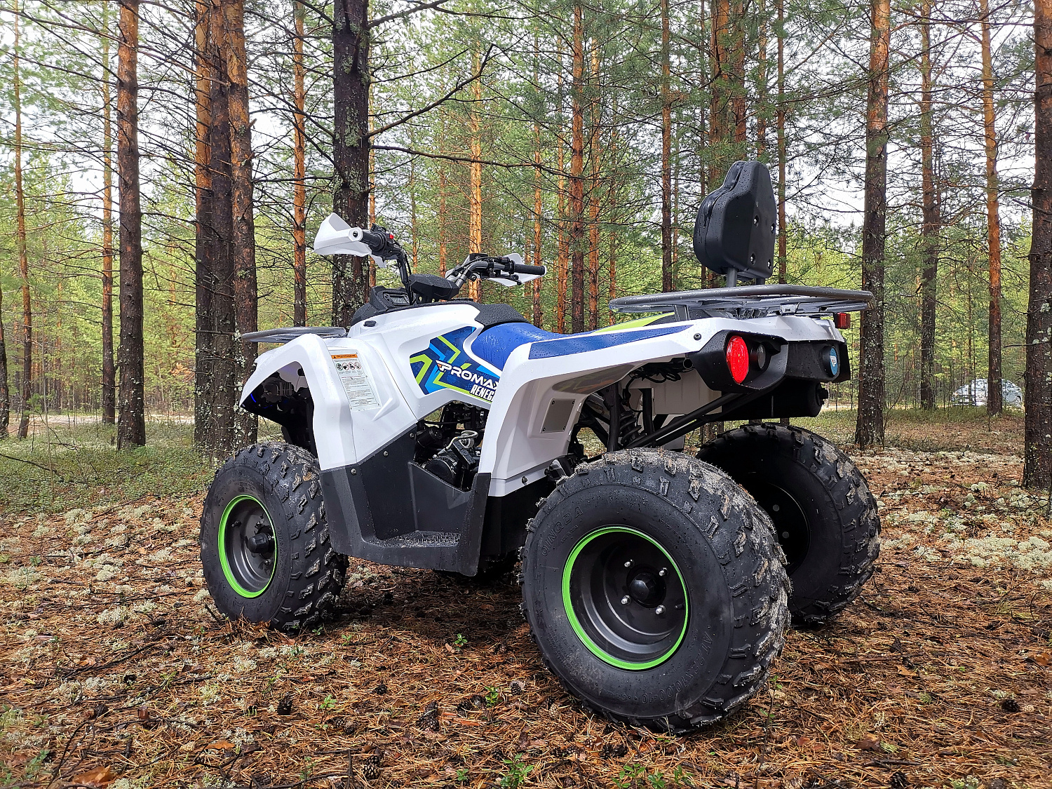 Квадроцикл PROMAX RENEGADE 280 (2025) в Челябинске