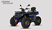Квадроцикл PROMAX TAURUS 300 MAX-PRO LONG в Челябинске