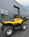 КВАДРОЦИКЛ IRBIS ATV 250  в Челябинске