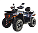 Квадроцикл MOTOLAND (МОТОЛЕНД) 300 MAX X в Челябинске