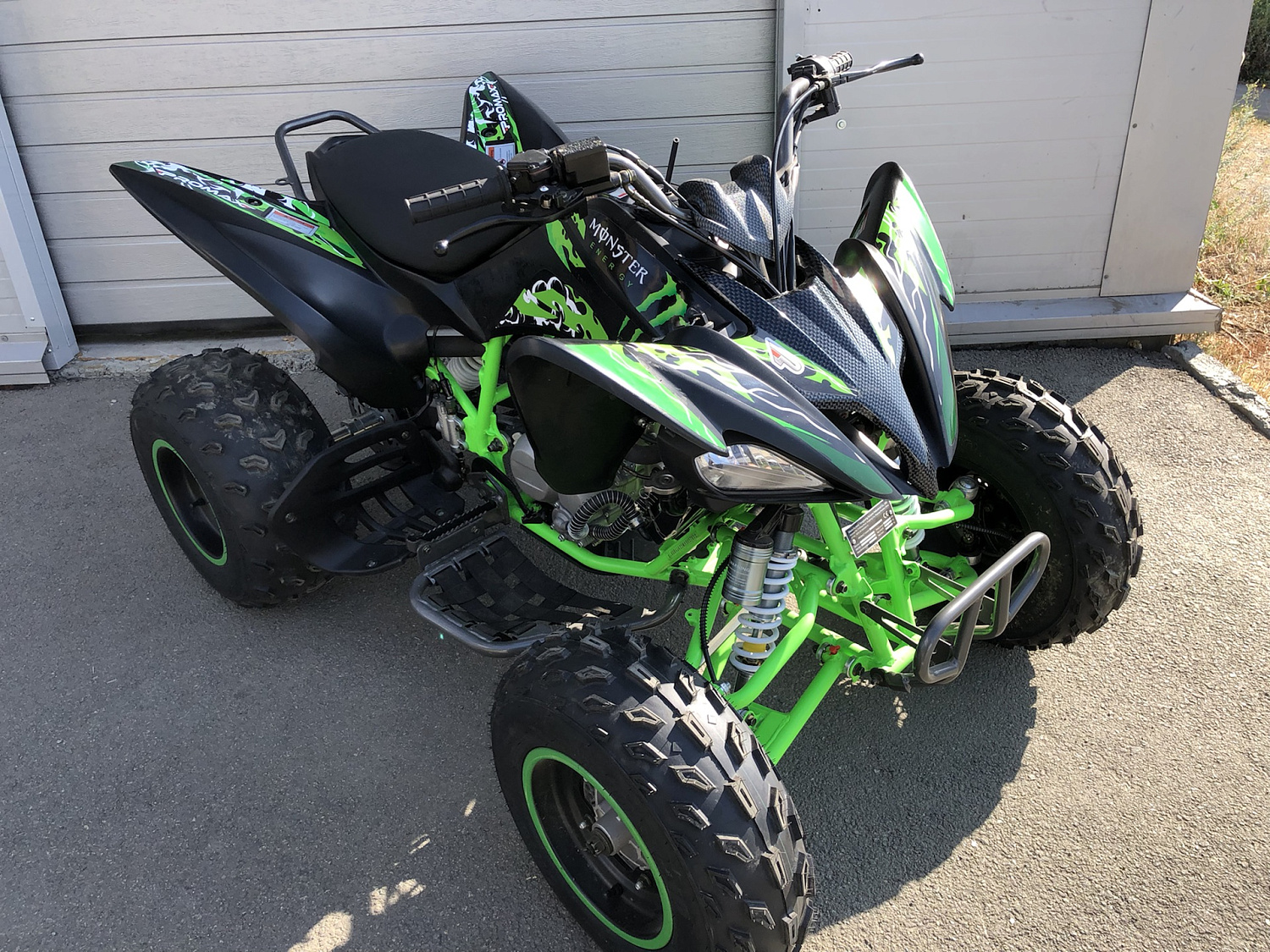 Квадроцикл PROMAX RAPTOR 300 NEW Monster в Челябинске